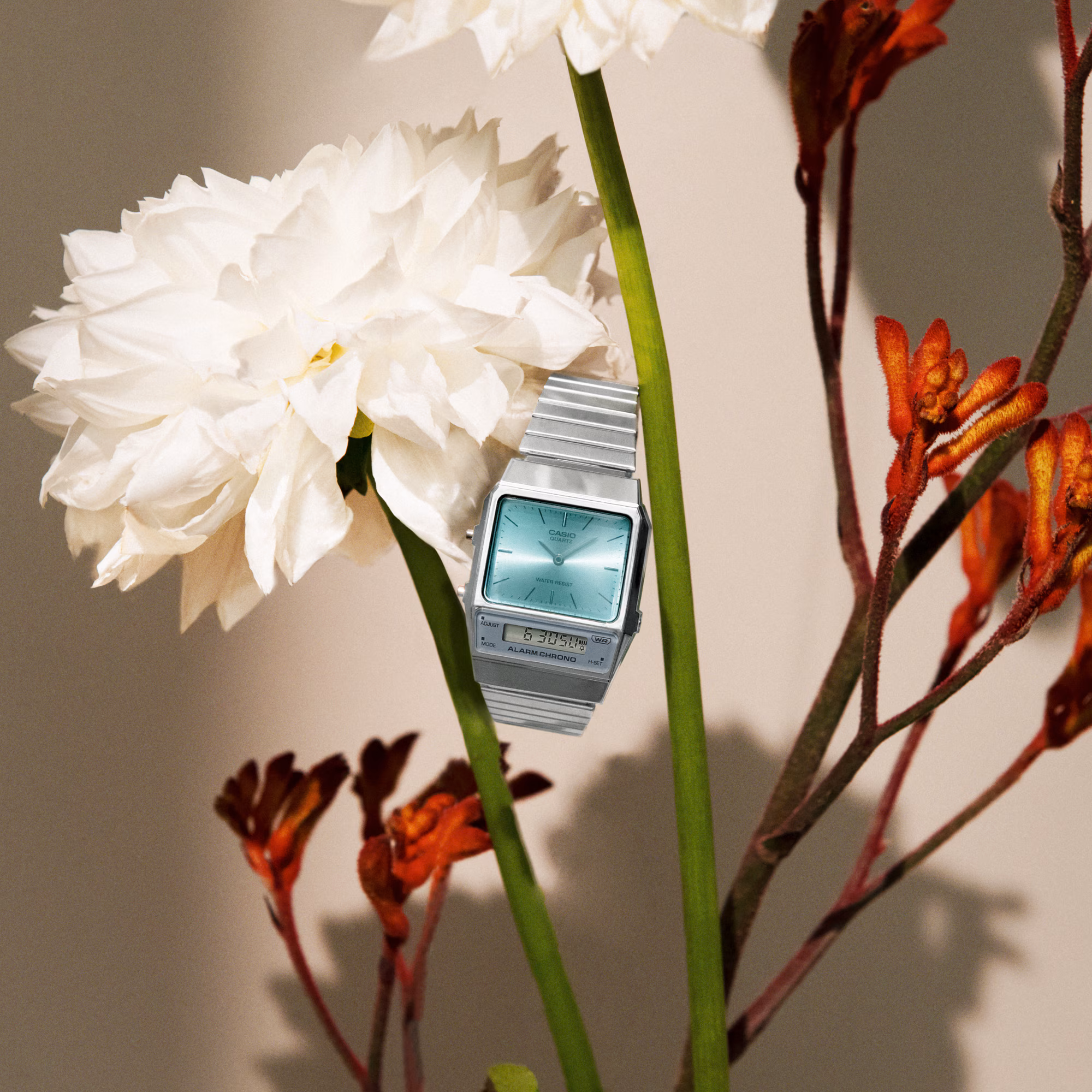 Casio Vintage Edgy 800e - immagine 3